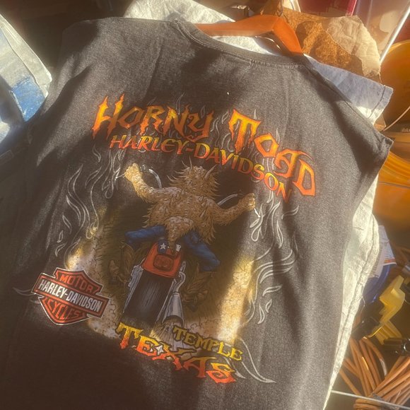 Gray Multi-Color Horny Toad Temple Texas Authentic 2007 Harley Davidson Tank XL - Picture 2 of 4